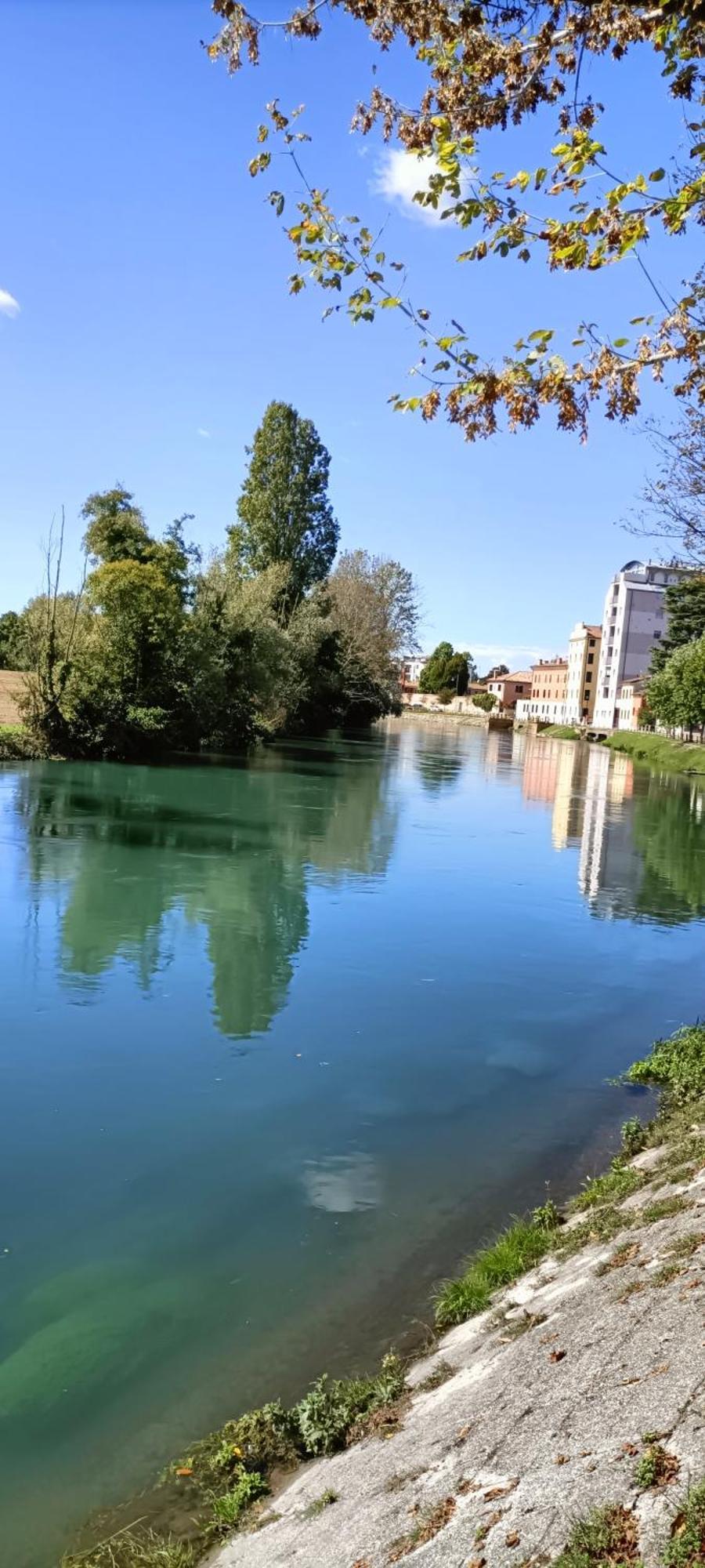 Amalteo 3 Apartment Treviso Exterior foto